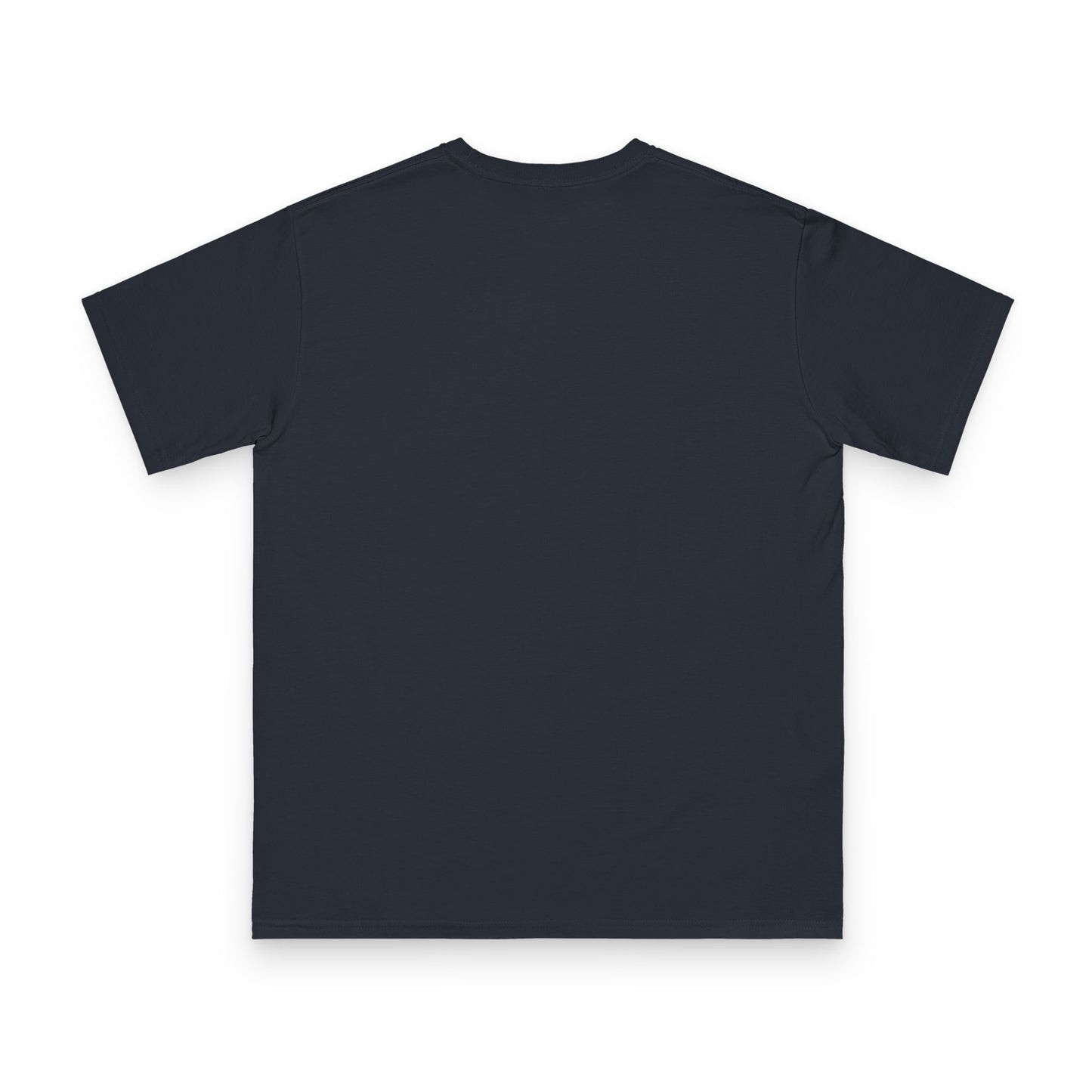 T-Shirt — Mountain Graphic “The Truth Is Out There” (Tibetan Script)