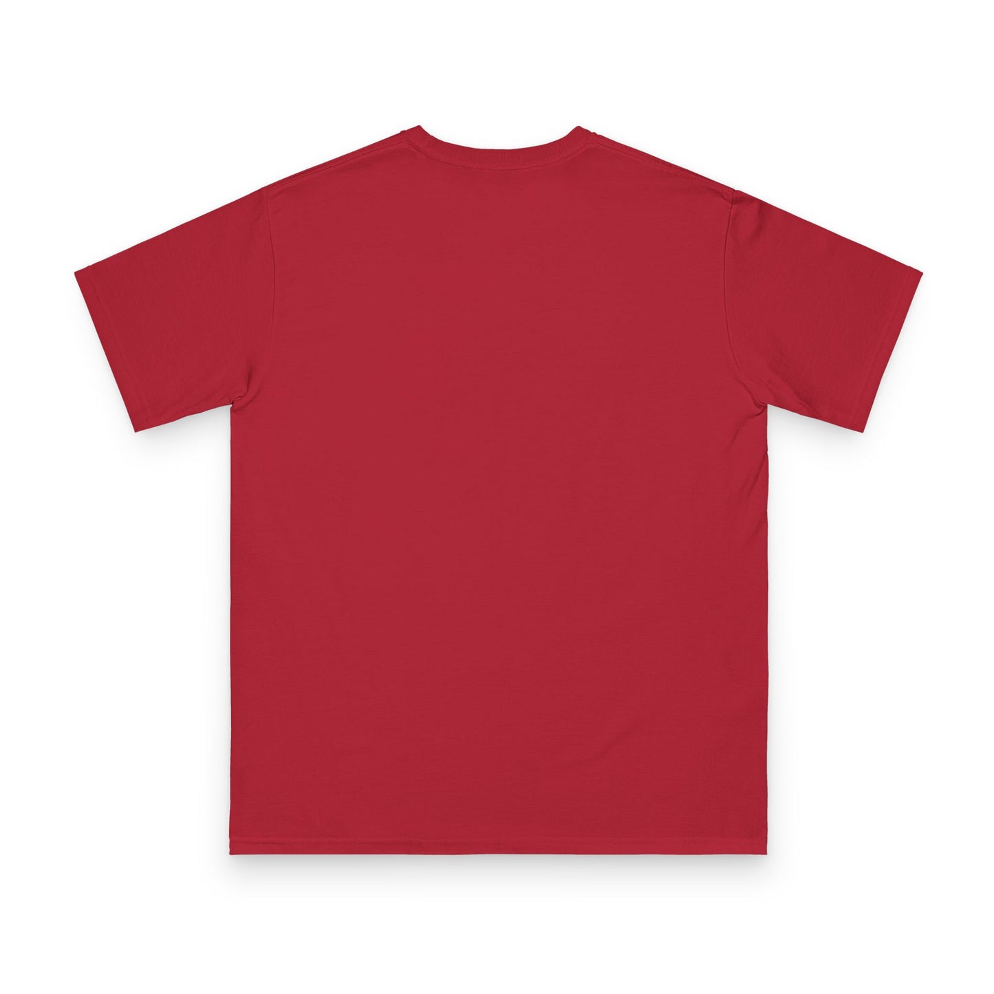 T-Shirt — Mountain Graphic “The Truth Is Out There” (Tibetan Script)